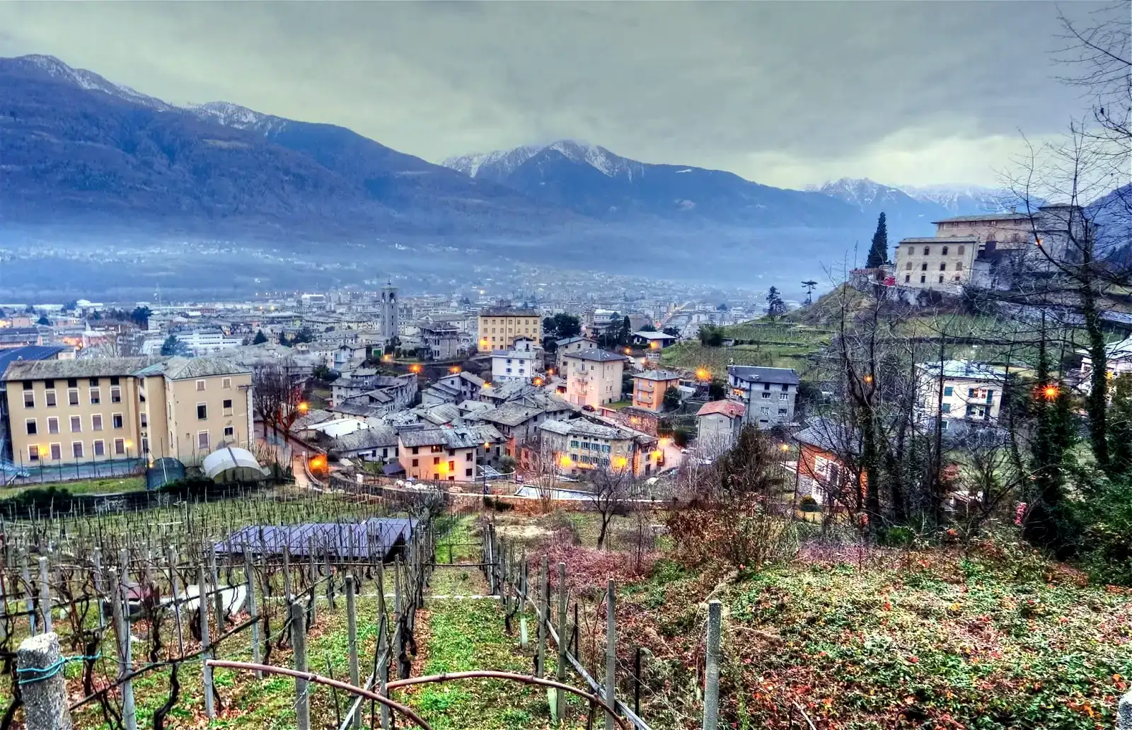 I vigneti terrazzati sopra Sondrio, in Valtellina